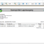Lagerausgänge Druckvorschau